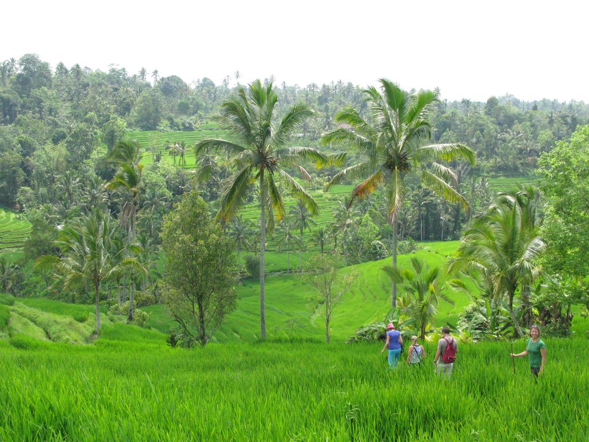 Prana Dewi Mountain Resort Jatiluwih Eksteriør billede