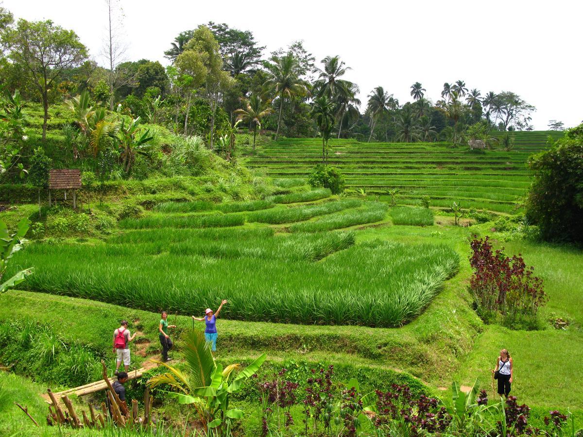 Prana Dewi Mountain Resort Jatiluwih Eksteriør billede