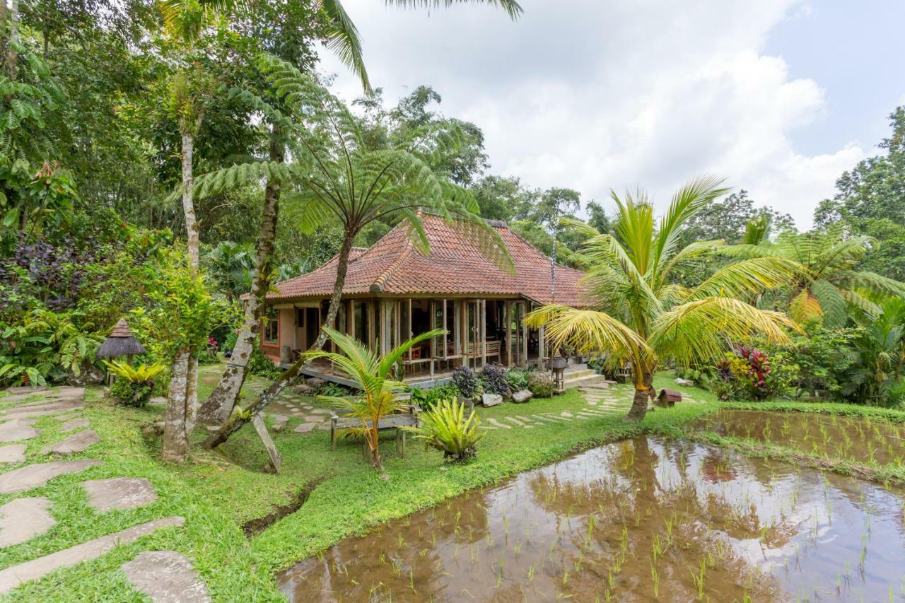 Prana Dewi Mountain Resort Jatiluwih Eksteriør billede