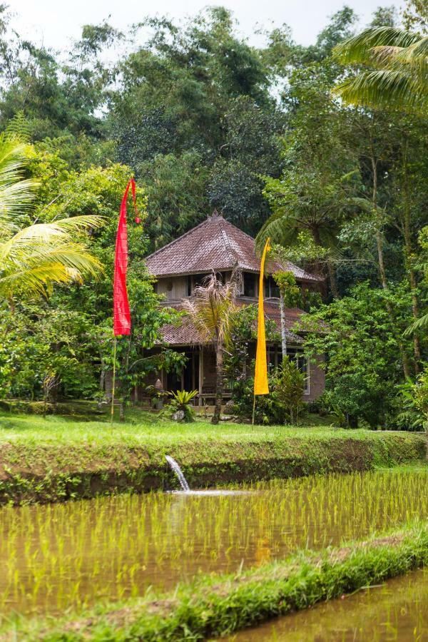 Prana Dewi Mountain Resort Jatiluwih Eksteriør billede